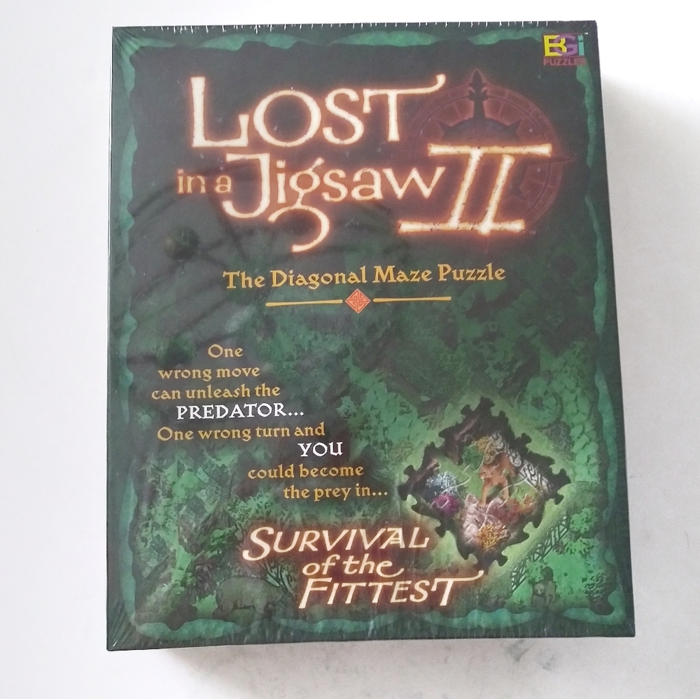 Lost in a jigsaw II puzzle